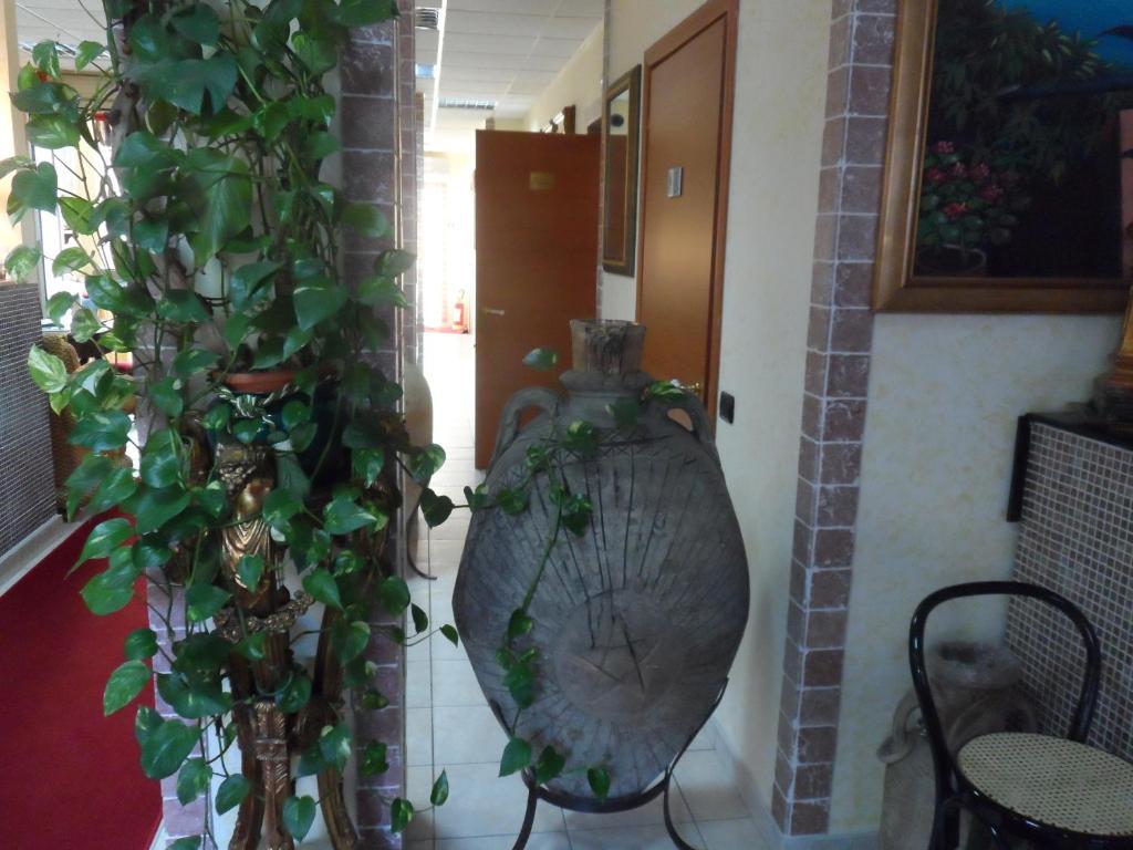 Fiumefreddo Hotel Fiumefreddo di Sicilia Extérieur photo